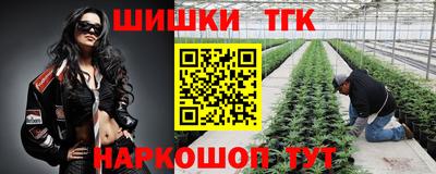 a pvp Тара