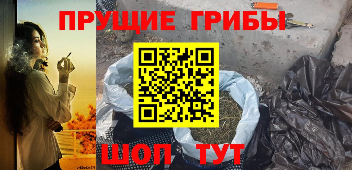 Нарткала  Галлюциногенные грибы Magic Shrooms  Вход с VPN  Галлюциногенные грибы GOLDEN TEACHER 